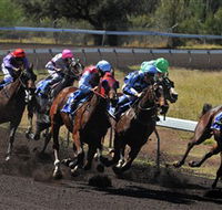 Alice Springs Turf Club - Accommodation Kalgoorlie