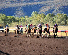 Alice Springs Turf Club - Accommodation Kalgoorlie 6