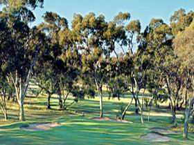 Tanunda Pines Golf Club - Accommodation Kalgoorlie 0
