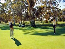 Tanunda Pines Golf Club - Accommodation Kalgoorlie 1