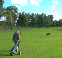 Coffin Bay Golf Club - Accommodation Kalgoorlie