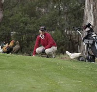 Tasmania Golf Club - The - Accommodation Kalgoorlie
