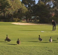 Royal Hobart Golf Club - Accommodation Kalgoorlie