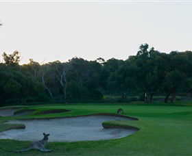 Anglesea Golf Club - Accommodation Kalgoorlie 8