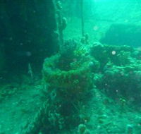 Wallaroo Scuba Club - Accommodation Kalgoorlie