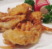 Mathew's Peacock Gardens - Accommodation Kalgoorlie