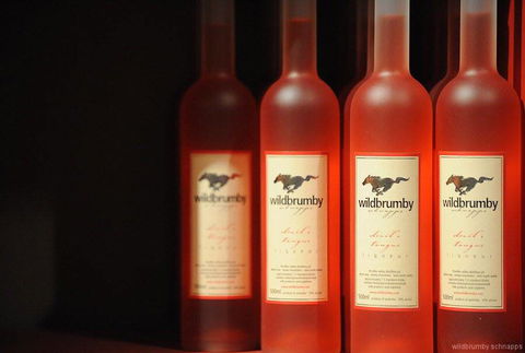 Fennell Bay Cellars - Accommodation Kalgoorlie 0