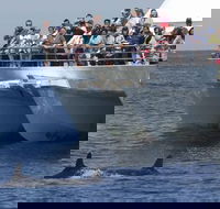 MoonshadowTQC Cruises - Accommodation Kalgoorlie