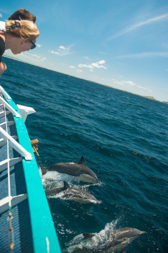 Moonshadow–TQC Cruises - Accommodation Kalgoorlie 3