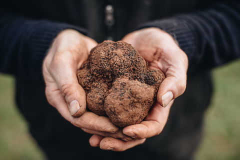 A Taste Of Truffles - Accommodation Kalgoorlie 0