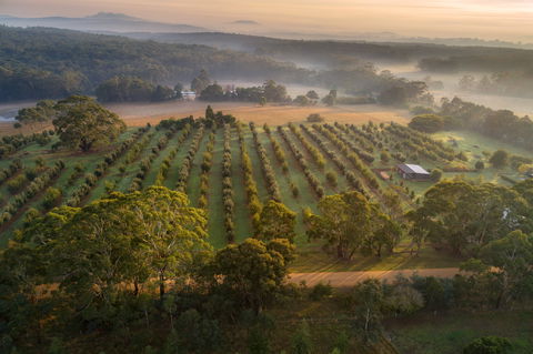 A Taste Of Truffles - Accommodation Kalgoorlie 1