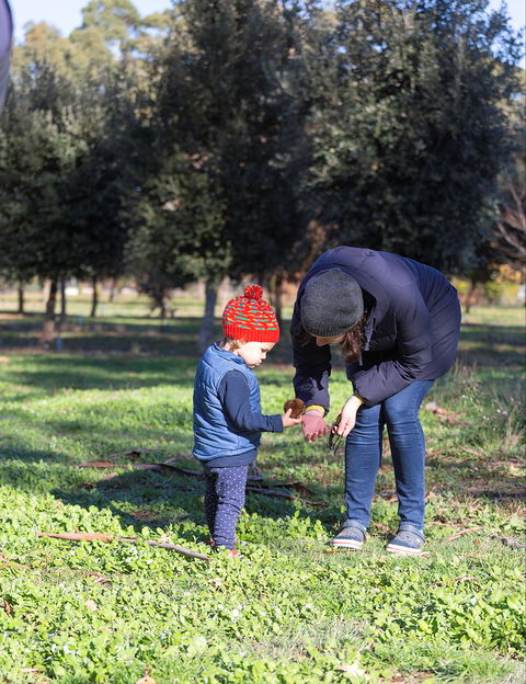 A Taste Of Truffles - Accommodation Kalgoorlie 2