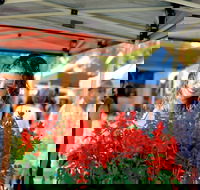 Ballina Missingham Farmers Market - Accommodation Kalgoorlie