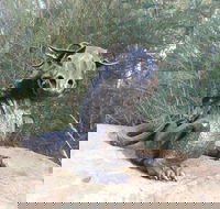 Bathurst Arts Trail - Accommodation Kalgoorlie