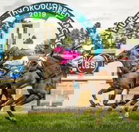 Bathurst Cup - Accommodation Kalgoorlie