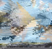 Dreams of Air and Flight - Accommodation Kalgoorlie