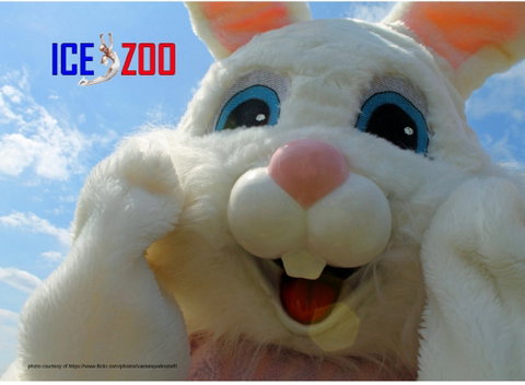 Easter Egg-stravaganza - Accommodation Kalgoorlie 0