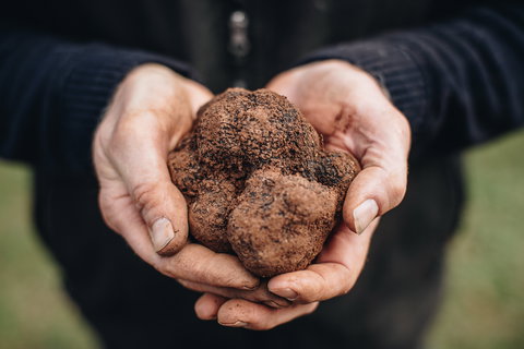 Feast And Forage - Craig's Royal Hotel - Accommodation Kalgoorlie 0