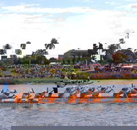Jacaranda Dragon Boat Races - Accommodation Kalgoorlie