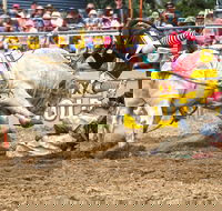 Jindabyne's Man From Snowy River Rodeo - Accommodation Kalgoorlie