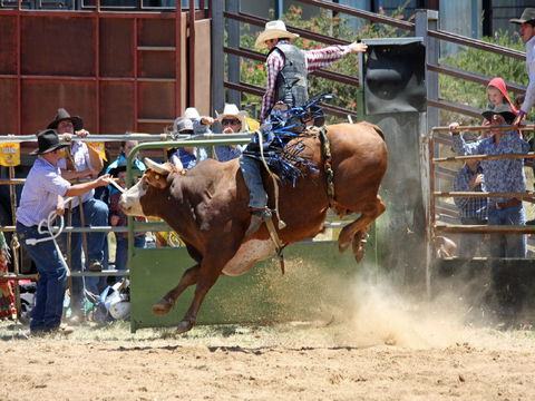 Jindabyne's Man From Snowy River Rodeo - Accommodation Kalgoorlie 2