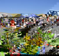 Maclean Community Monthly Markets - Accommodation Kalgoorlie