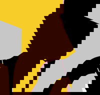 Naked Classics Fantastic Symphonies - Accommodation Kalgoorlie