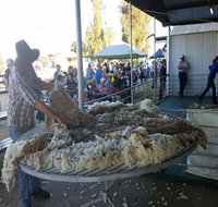Narrabri Show - Accommodation Kalgoorlie