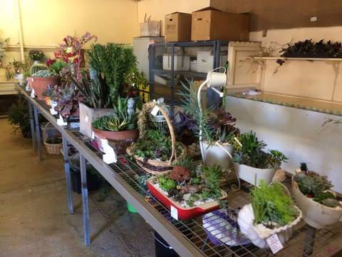 Narrabri Show - Accommodation Kalgoorlie 2