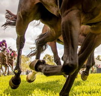 Night Markets and Race Day - Accommodation Kalgoorlie