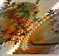Online live streaming class DIY Skincare Products - Accommodation Kalgoorlie