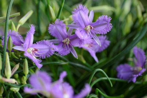 Our Campbelltown - Accommodation Kalgoorlie 0