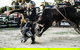 PBR Hawkesbury Stampede - thumb 2
