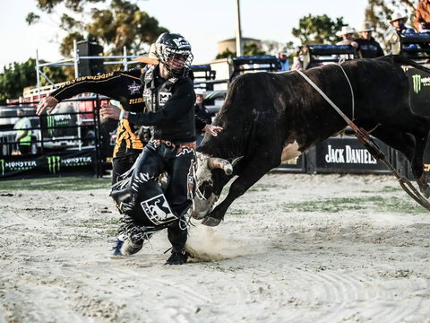 PBR Hawkesbury Stampede - Accommodation Kalgoorlie 2