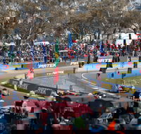 Supercars Supercheap Auto Bathurst 1000 - Accommodation Kalgoorlie