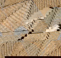 WA Now  Tom Mller Monolith Scores - Virtual Exhibition - Accommodation Kalgoorlie