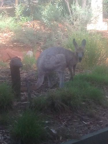 Queensland Winter Craft Festival - Accommodation Kalgoorlie 4