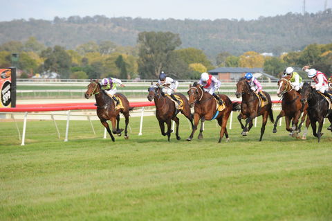 Aggies Race Day - Accommodation Kalgoorlie 0