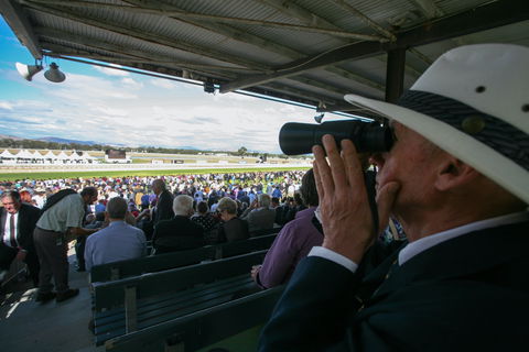 Albury Racing Club Boxing Day Races - Accommodation Kalgoorlie 1