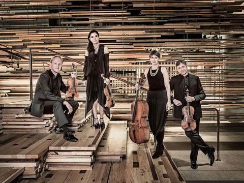 Australian String Quartet Plays Late Beethoven - Accommodation Kalgoorlie 2