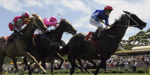 Batemans Bay Cup - Accommodation Kalgoorlie 0