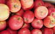 Blayney Farmers' Market - thumb 1
