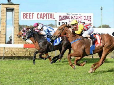 Casino Cup - Accommodation Kalgoorlie 0