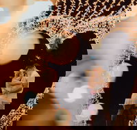 Christmas Lights Spectacular at Hunter Valley Gardens - Accommodation Kalgoorlie