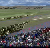 Cooma Sundowners Cup - Accommodation Kalgoorlie