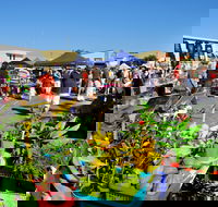 Maclean Macmarket Day - Accommodation Kalgoorlie