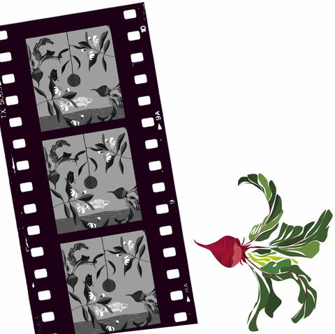 Oseanica Film Project - Accommodation Kalgoorlie 0