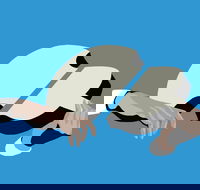 Petrenko's Shostakovich - Morning Symphony - Accommodation Kalgoorlie