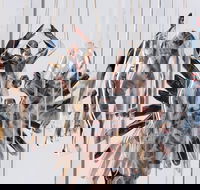 Pulse Perspectives - Accommodation Kalgoorlie