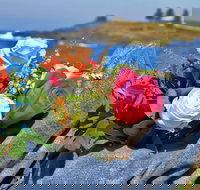 Roses by the Seaside National Rose Championships and Conference - Accommodation Kalgoorlie